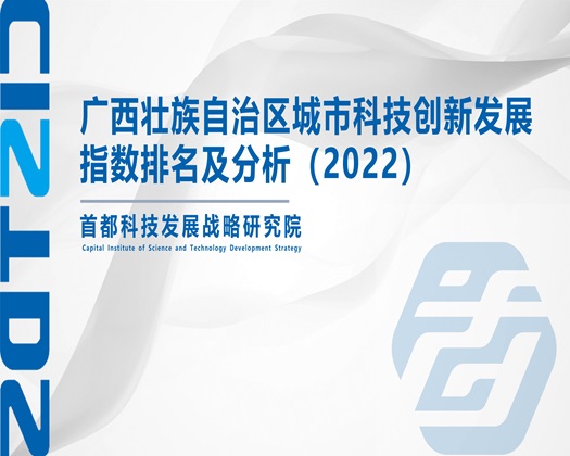 鸡巴头捅插骚屄好舒服视频【成果发布】广西壮族自治区城市科技创新发展指数排名及分析（2022）